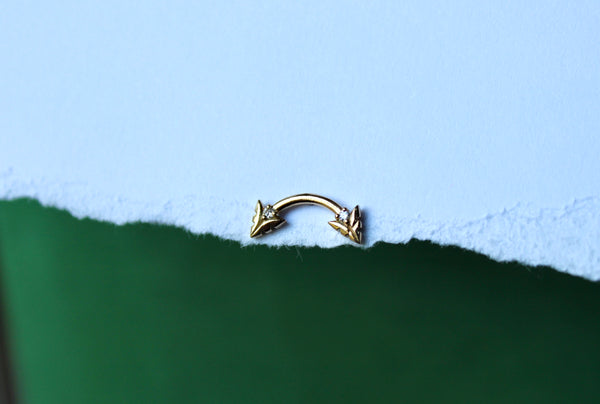 Arrowhead Curve