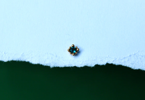 Graduating Pelleted Stud